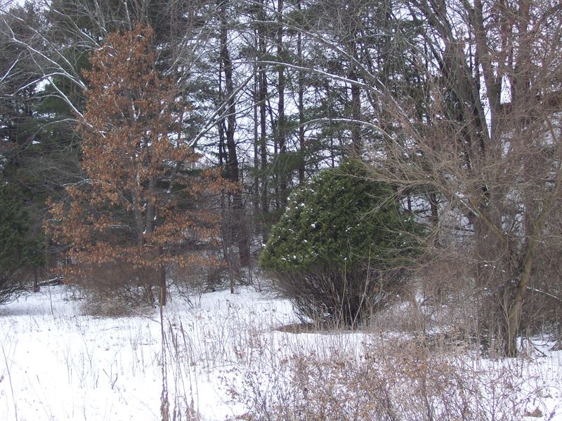 Lake Redstone Vacant Lot Land for Sale in La Valle, Sauk County