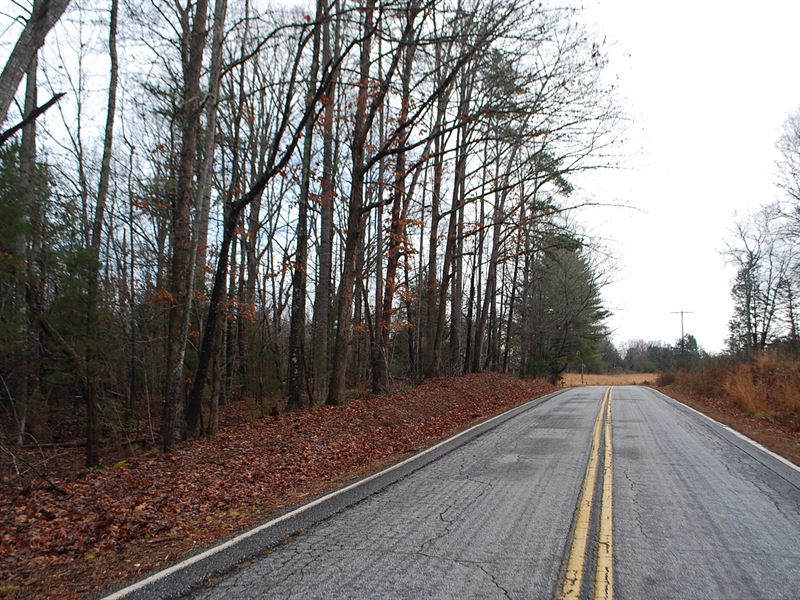 4 Acre Wooded Tract in Pauline, Sc : Pauline : Spartanburg County : South Carolina