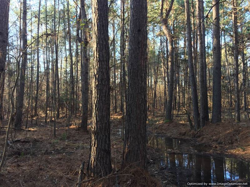 21+/- Ac Adjoins National Forest : Roxie : Franklin County : Mississippi