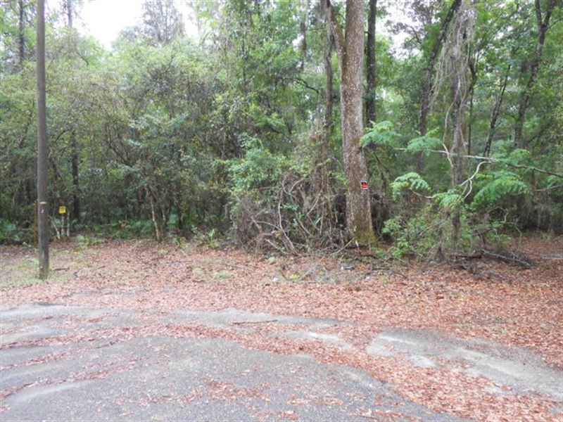 Waterfront Lot 771792 : Chiefland : Levy County : Florida