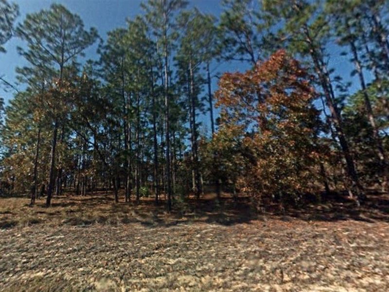 .25 Acre in Dunnellon, Fl : Dunnellon : Levy County : Florida