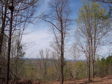 Candler Mountain - Views/Creeks : Goodwater : Coosa County : Alabama
