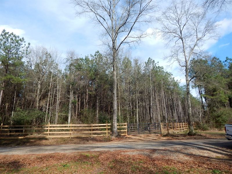 26 Acres with All Utilities : Tylertown : Walthall County : Mississippi