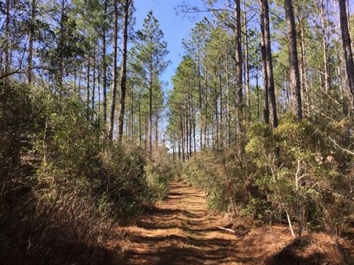 Walton County Florida Plantation Land for Sale : LANDFLIP
