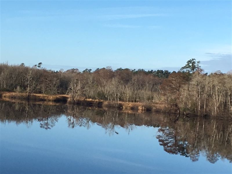 Black River Property Land for Sale by Owner in