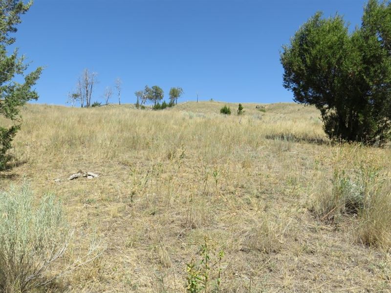 Buzzer Lode, Jackpot and More : Anaconda : Deer Lodge County : Montana