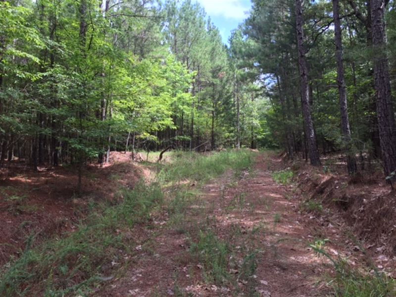 297 Ac Hunting Tract Land For Sale In Water Valley Lafayette County Mississippi Landflip 297 Ac Hunting Tract Land For Sale In Water Valley Lafayette County Mississippi Landflip