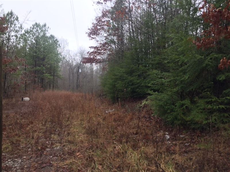 28.71+/- Acres Unrestricted Wooded : Tracy City : Grundy County : Tennessee