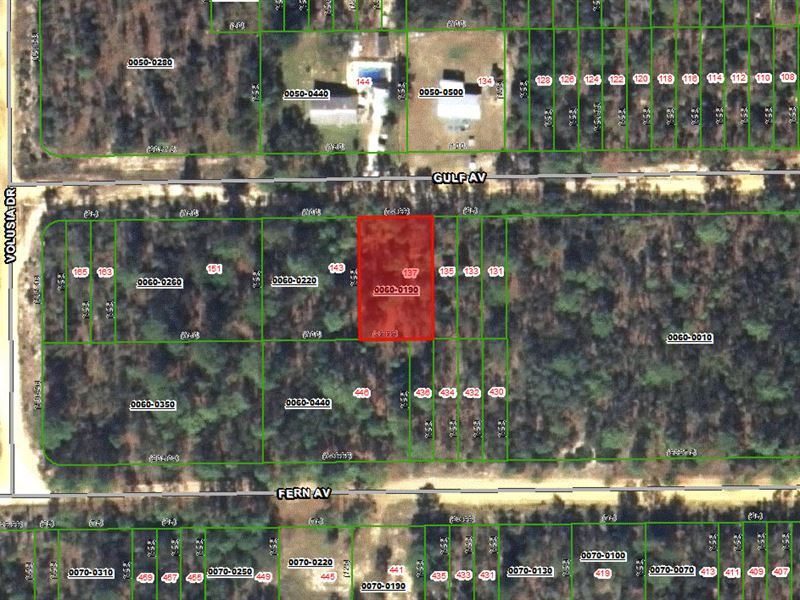 $99 Down, $100/Month Owner Finance : Interlachen : Putnam County : Florida