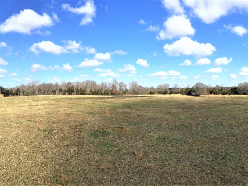 Duncan Creek Farm Land for Sale in Laurens, Laurens County, South