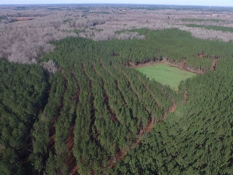 46-009 Persimmon Creek : Tuskegee : Macon County : Alabama