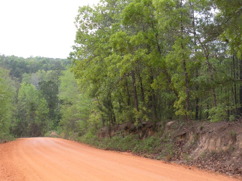Oak Grove County Road 62 : Pine Level : Autauga County : Alabama