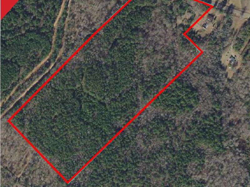 Estate Auction - 33+/- Acres : Haddock : Baldwin County : Georgia