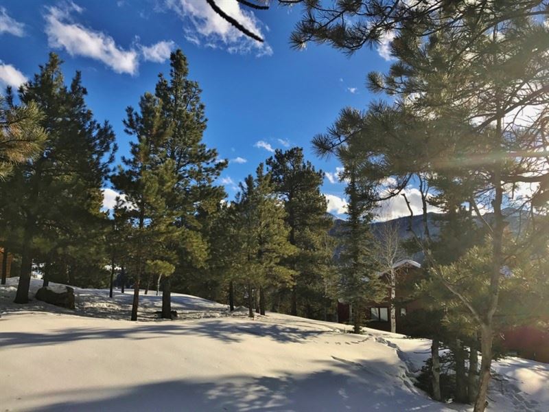 Riverside Estates, Lot 7 : Lake City : Hinsdale County : Colorado