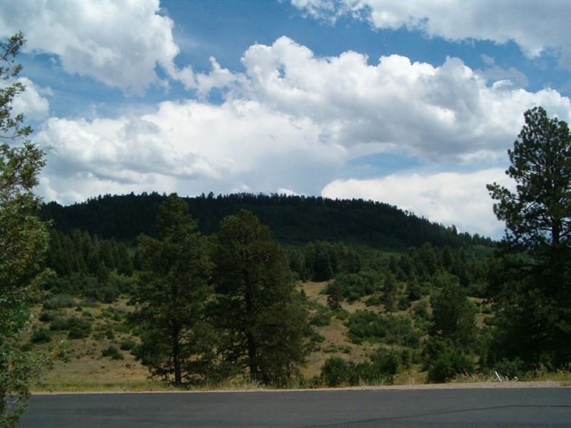 Reserve At Pagosa Peak, Lot 123 : Pagosa Springs : Archuleta County : Colorado