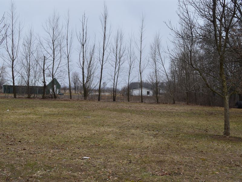 Lot 8 Buildable Rural Country Lot : Oxford : Marquette County : Wisconsin