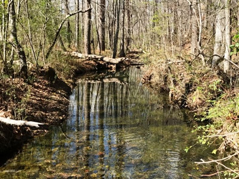 Dry Creek Tract : Adairsville : Bartow County : Georgia