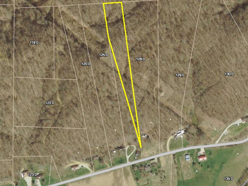 3 Acres Of Forest Reserve Off Grid : Nashville : Brown County : Indiana