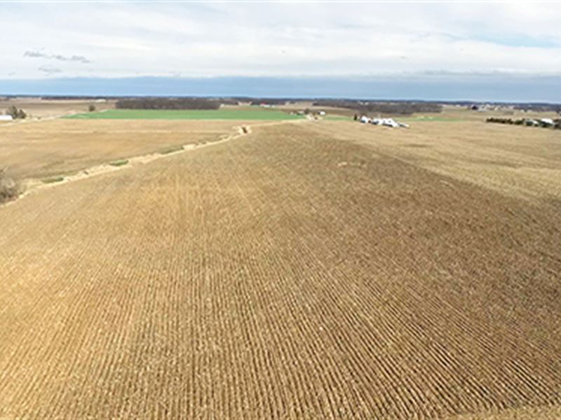 Land Auction - 157 Ac in 4 Tracts : Columbia City : Whitley County : Indiana