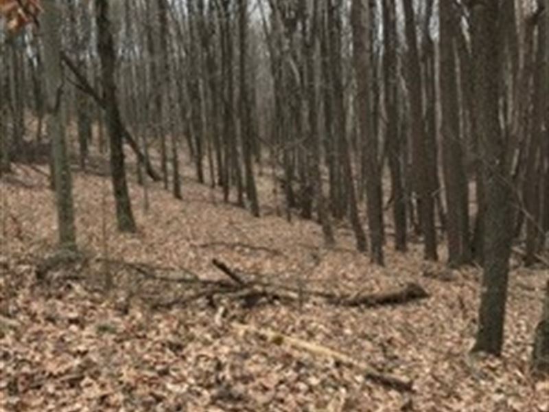Cream Ridge Rd - 40 Acres : Lisbon : Columbiana County : Ohio
