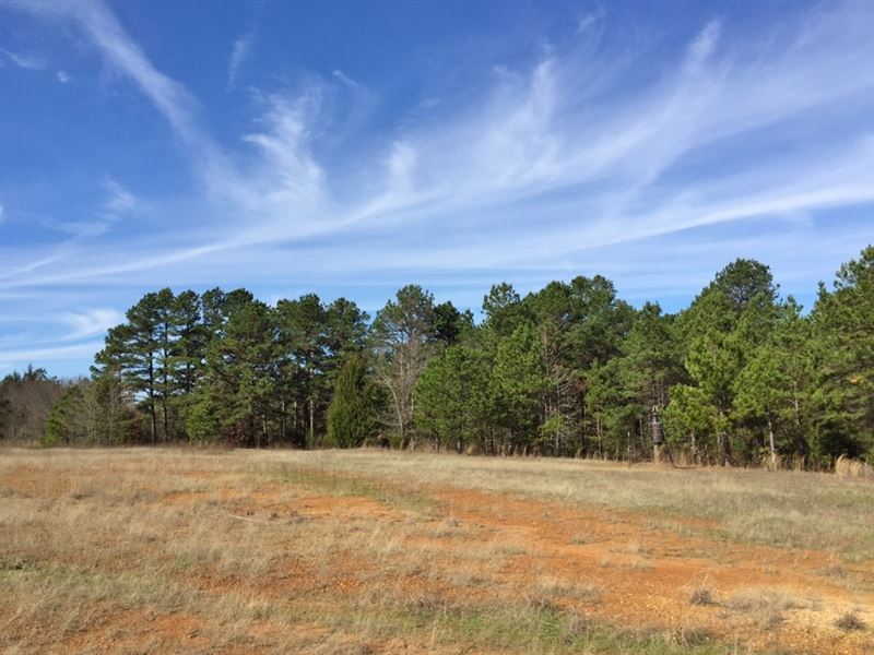 2/1 Home On 110+ Acres : Leesburg : Camp County : Texas