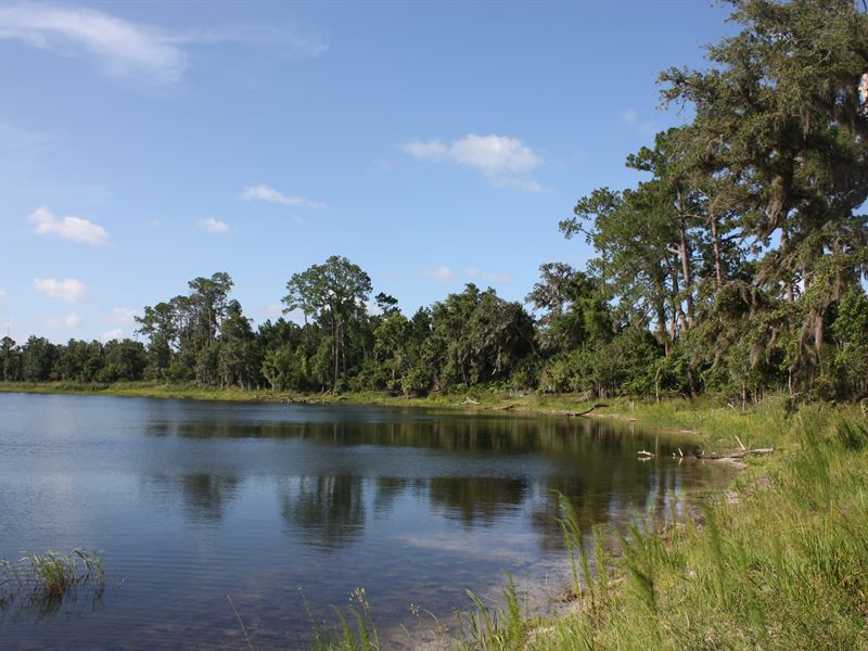 210 Acres Of Deep Creek Ranch : De Leon Springs : Volusia County : Florida