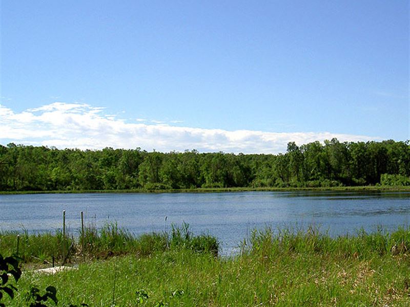 Beautiful Land On The Lake Land for Sale by Owner in Lengby, Mahnomen