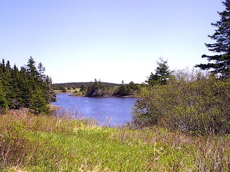 100 Acres for Lease : Louisbourg : Nova Scotia : Canada