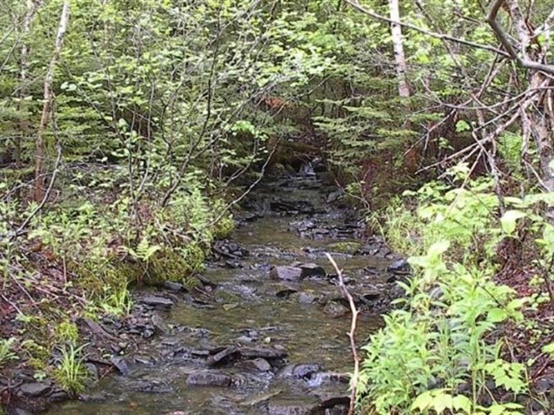 8 Acres Of Land for Lease : Nova Scotia : Canada