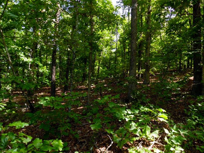 A-Wooded Half Acre with Electric : Jonesboro : Sharp County : Arkansas