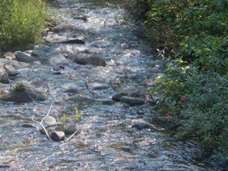 California 40 Ac.Miningclaim Creeks : Weaverville : Trinity County : California