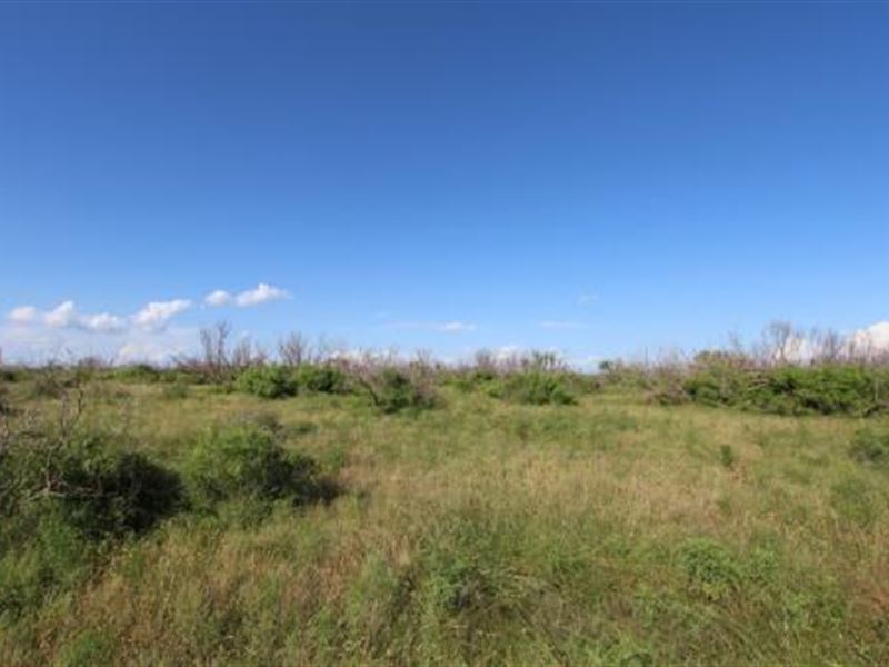 Cattle Ranch Auction - 590 Acres : Electra : Wichita County : Texas