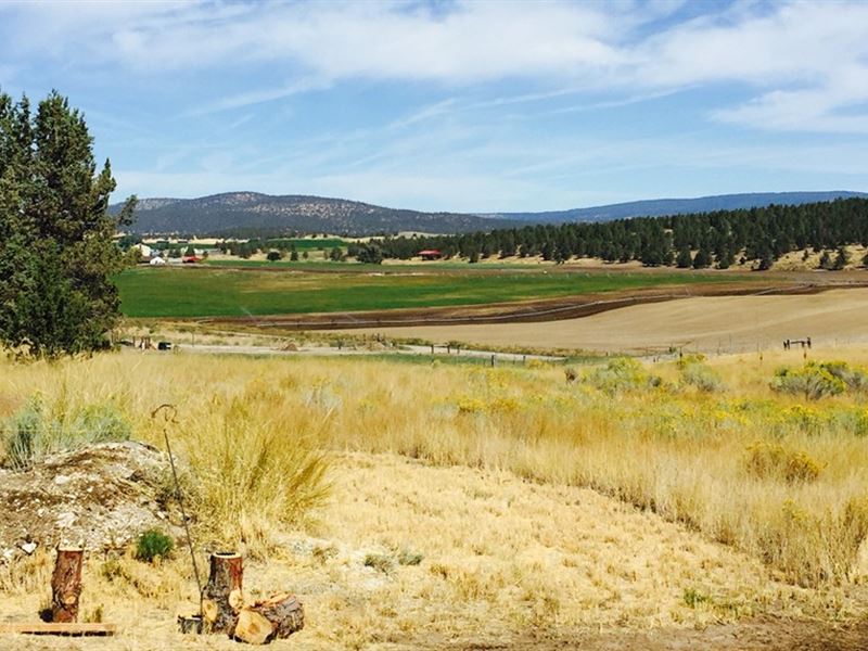 Country Living 5 Miles From Town : Bonanza : Klamath County : Oregon