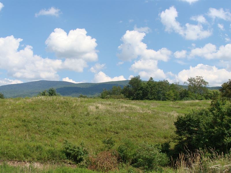 Va Farm Bordering National Forest : Troutdale : Smyth County : Virginia