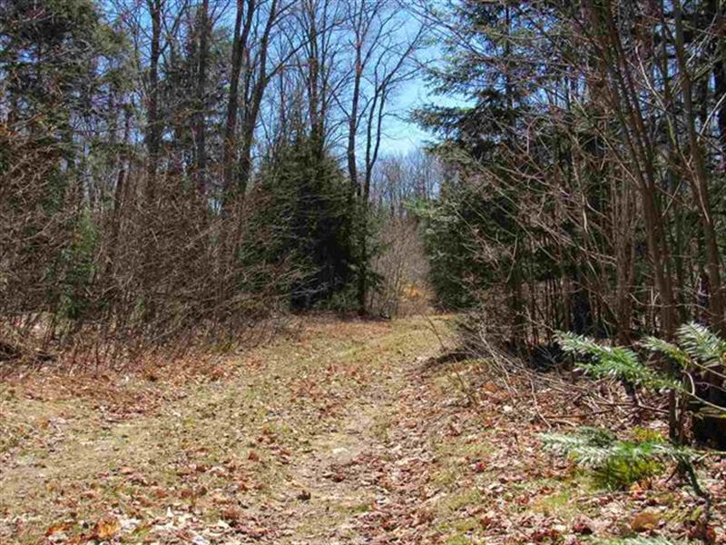 Hiawatha's Playground : Newberry : Luce County : Michigan