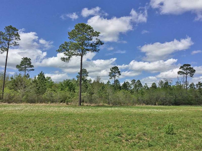 Elsanor Tract On Us Hwy 90 Land for Sale in Robertsdale, Baldwin