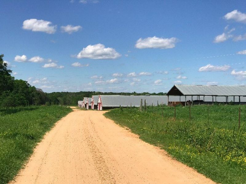 10 House Broiler Farm Simpson Count : Mendenhall : Simpson County : Mississippi