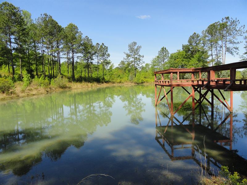 Old Scotland Road Farm : Jacksonville : Telfair County : Georgia