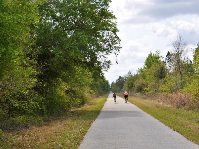 Green Swamp Preserve 7 : Groveland : Lake County : Florida