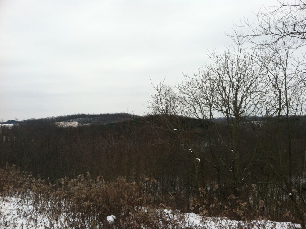 20 Acres - $59,900 Owner Financing : Zanesville : Muskingum County : Ohio