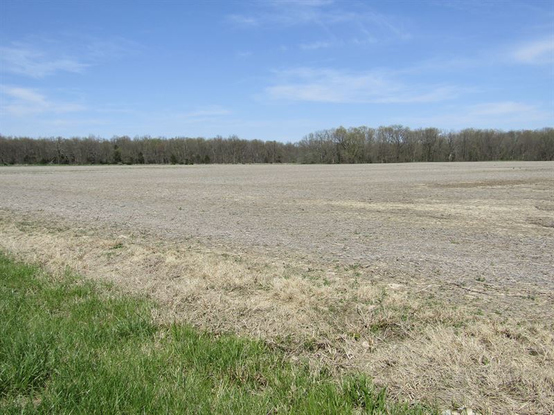 62 Acres Absolute Land Auction : Dix : Jefferson County : Illinois