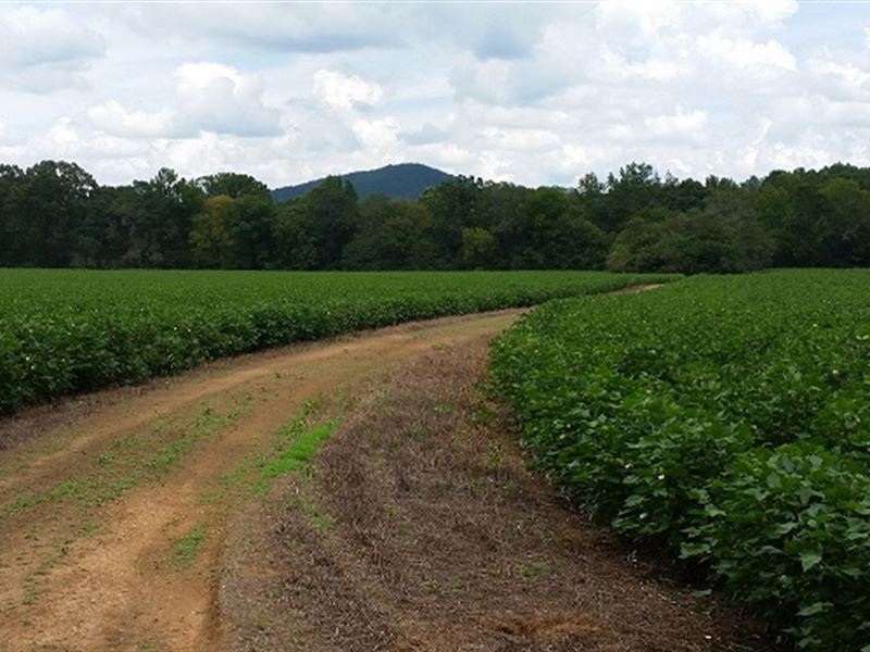 77+/- Acres Cropland : Sylacauga : Talladega County : Alabama