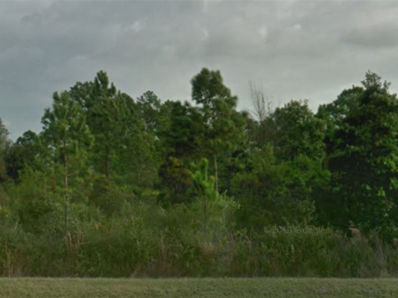 Polk County, Florida $1,400 Neg : Lake Wales : Polk County : Florida