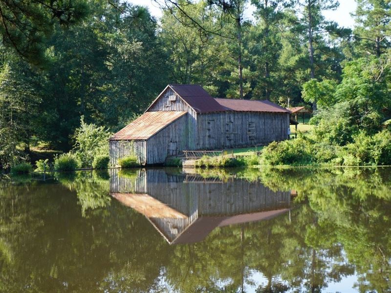 Jordan Mill Pond : Sandersville : Washington County : Georgia