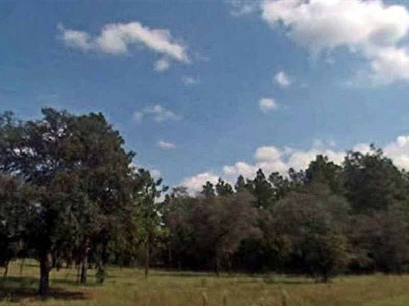 Levy County, Fl $28,000 Neg : Land for Sale in Dunnellon, Levy County, Florida : #123799 : LANDFLIP