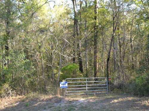 Wester Road 32 Acres : Lake City : Columbia County : Florida
