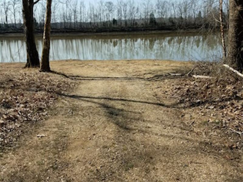 2.93 Acre Corner Lot : Camden : Benton County : Tennessee