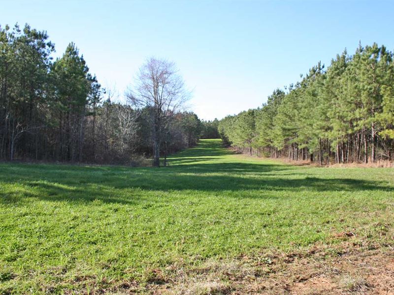 Tri-County Tract : Thomasville : Wilcox County : Alabama