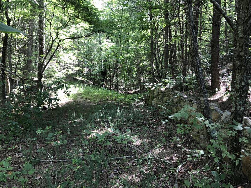 8.18 +/- Wooded Acres, Rydal : Rydal : Bartow County : Georgia