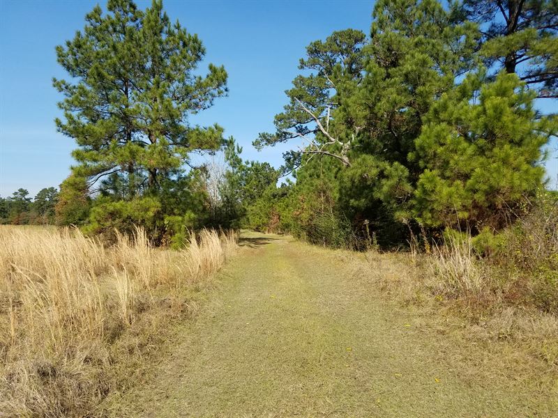 East Texas Log Cabin On 20 Acres Land for Sale in Lufkin, Angelina